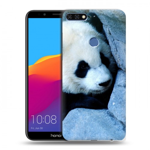 Дизайнерский пластиковый чехол для Huawei Honor 7C Pro Панды