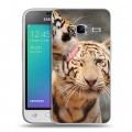 Дизайнерский силиконовый чехол для Samsung Galaxy J1 mini (2016) Тигры
