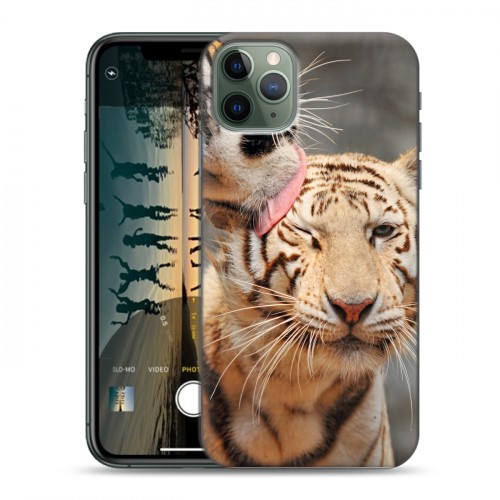 Дизайнерский пластиковый чехол для Iphone 11 Pro Тигры