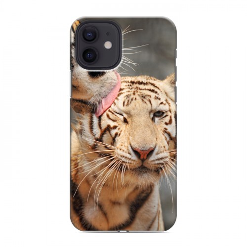 Дизайнерский силиконовый чехол для Iphone 12 Тигры