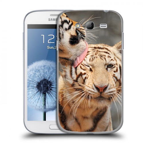 Дизайнерский пластиковый чехол для Samsung Galaxy Grand Тигры
