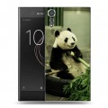 Дизайнерский пластиковый чехол для Sony Xperia XZs Панды