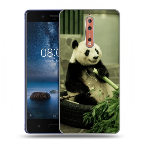 Дизайнерский пластиковый чехол для Nokia 8 Панды