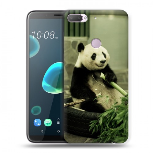 Дизайнерский пластиковый чехол для HTC Desire 12 Plus Панды