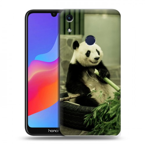 Дизайнерский пластиковый чехол для Huawei Honor 8A Панды