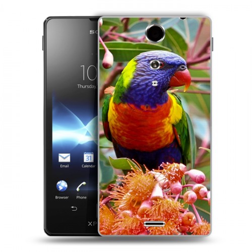 Дизайнерский пластиковый чехол для Sony Xperia TX Попугаи