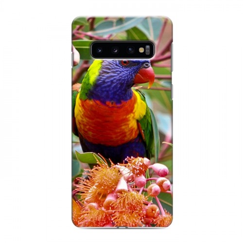 Дизайнерский силиконовый чехол для Samsung Galaxy S10 Попугаи