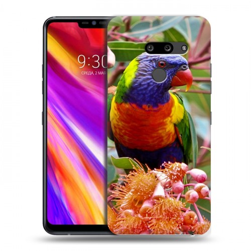 Дизайнерский пластиковый чехол для LG G8 ThinQ Попугаи