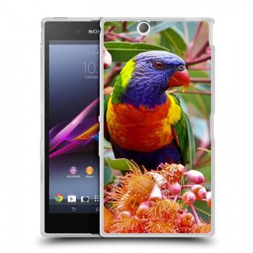 Дизайнерский пластиковый чехол для Sony Xperia Z Ultra  Попугаи