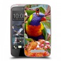 Дизайнерский пластиковый чехол для HTC Desire 500 Попугаи