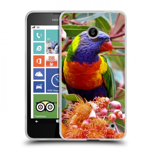 Дизайнерский пластиковый чехол для Nokia Lumia 630/635 Попугаи