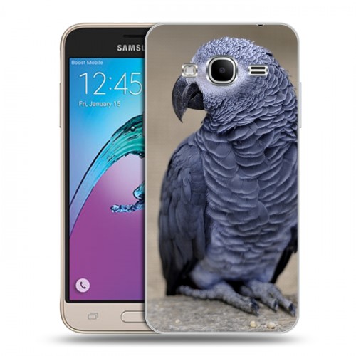 Дизайнерский пластиковый чехол для Samsung Galaxy J3 (2016) Попугаи