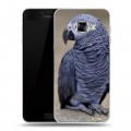 Дизайнерский пластиковый чехол для Samsung Galaxy C5 Попугаи