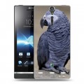 Дизайнерский пластиковый чехол для Sony Xperia S Попугаи