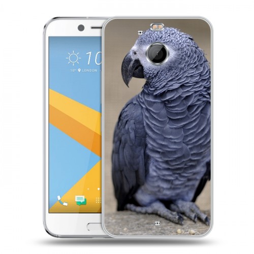 Дизайнерский пластиковый чехол для HTC 10 evo Попугаи