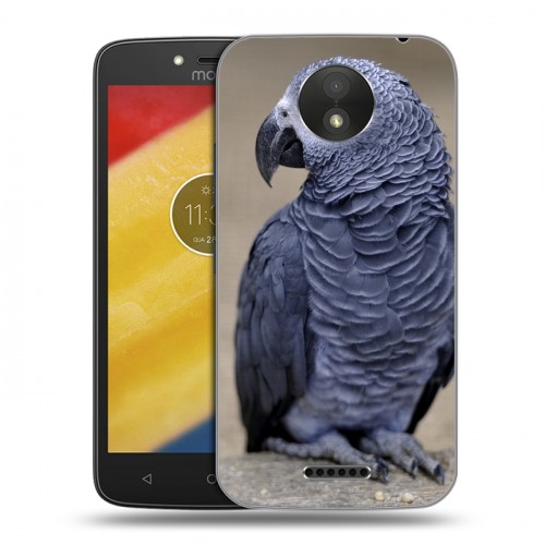 Дизайнерский пластиковый чехол для Motorola Moto C Plus Попугаи