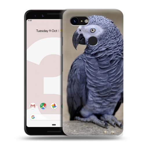 Дизайнерский пластиковый чехол для Google Pixel 3 Попугаи