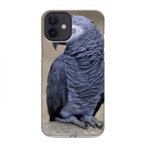 Дизайнерский силиконовый чехол для Iphone 12 Попугаи