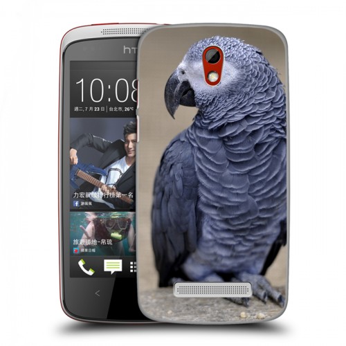 Дизайнерский пластиковый чехол для HTC Desire 500 Попугаи
