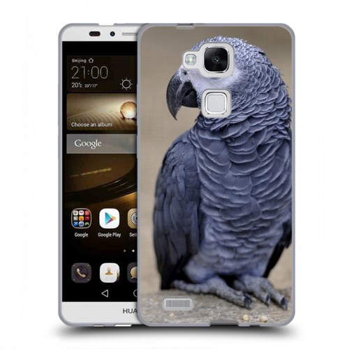 Дизайнерский пластиковый чехол для Huawei Ascend Mate 7 Попугаи