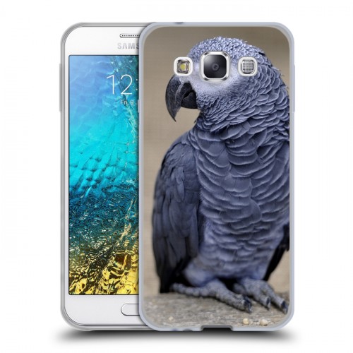 Дизайнерский пластиковый чехол для Samsung Galaxy E5 Попугаи