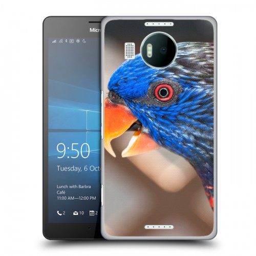 Дизайнерский пластиковый чехол для Microsoft Lumia 950 XL Попугаи