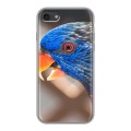 Дизайнерский силиконовый с усиленными углами чехол для Iphone 7 Попугаи