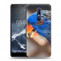 Дизайнерский пластиковый чехол для Nokia 5.1 Попугаи