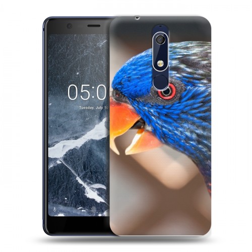 Дизайнерский пластиковый чехол для Nokia 5.1 Попугаи