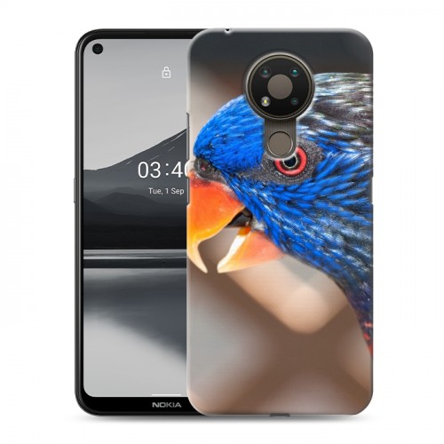 Дизайнерский силиконовый чехол для Nokia 3.4 Попугаи