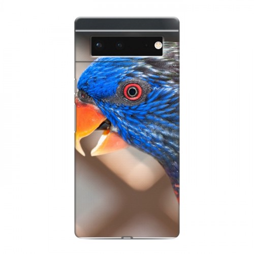 Дизайнерский силиконовый чехол для Google Pixel 6 Попугаи