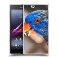 Дизайнерский пластиковый чехол для Sony Xperia Z Ultra  Попугаи