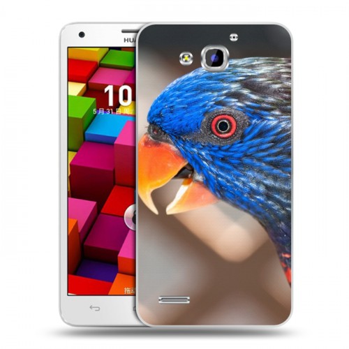 Дизайнерский пластиковый чехол для Huawei Honor 3x Попугаи