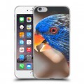 Дизайнерский силиконовый чехол для Iphone 6 Plus/6s Plus Попугаи