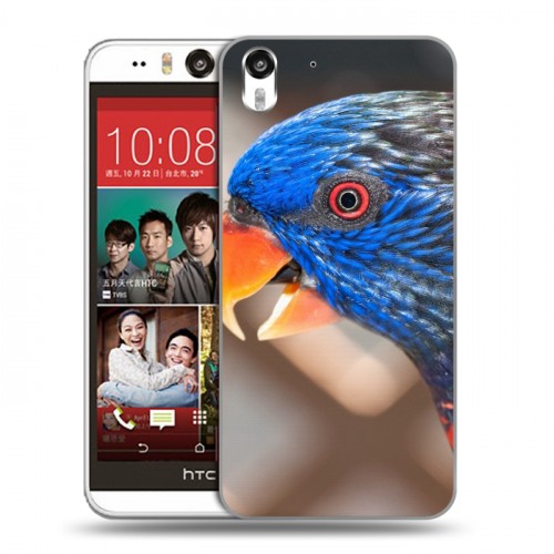 Дизайнерский силиконовый чехол для HTC Desire Eye Попугаи