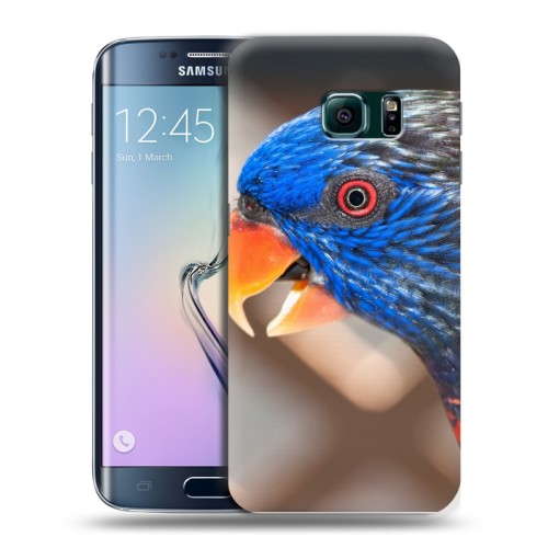 Дизайнерский пластиковый чехол для Samsung Galaxy S6 Edge Попугаи