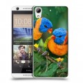 Дизайнерский силиконовый чехол для HTC Desire 626 Попугаи