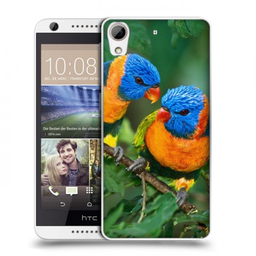 Дизайнерский силиконовый чехол для HTC Desire 626 Попугаи