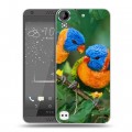 Дизайнерский пластиковый чехол для HTC Desire 530 Попугаи