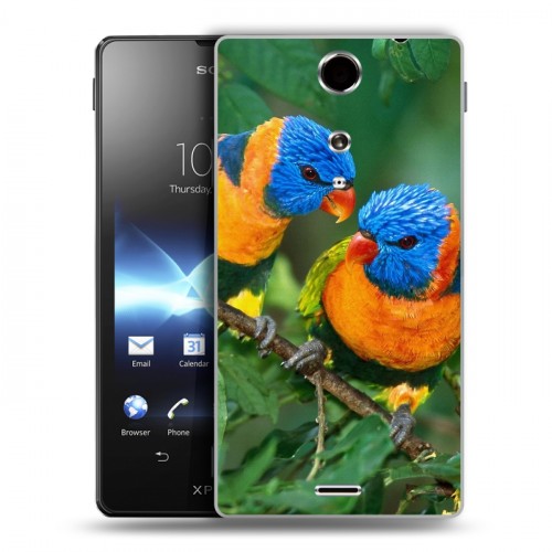 Дизайнерский пластиковый чехол для Sony Xperia TX Попугаи