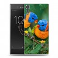 Дизайнерский пластиковый чехол для Sony Xperia XZs Попугаи