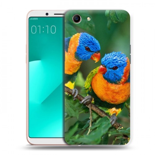 Дизайнерский пластиковый чехол для OPPO A83 Попугаи