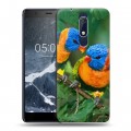 Дизайнерский пластиковый чехол для Nokia 5.1 Попугаи