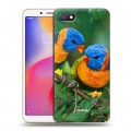 Дизайнерский пластиковый чехол для Xiaomi RedMi 6A Попугаи