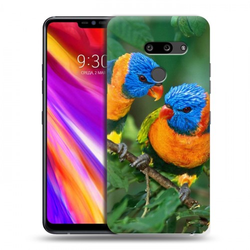 Дизайнерский пластиковый чехол для LG G8 ThinQ Попугаи