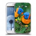 Дизайнерский пластиковый чехол для Samsung Galaxy Grand Попугаи