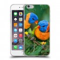 Дизайнерский силиконовый чехол для Iphone 6 Plus/6s Plus Попугаи