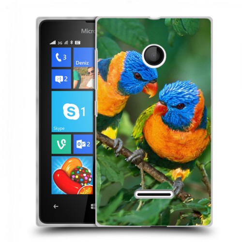 Дизайнерский пластиковый чехол для Microsoft Lumia 435 Попугаи