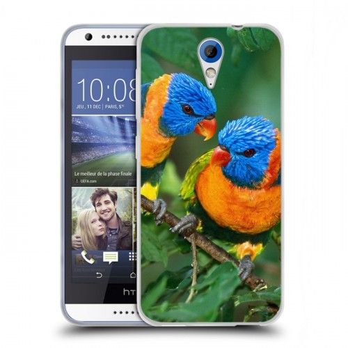 Дизайнерский пластиковый чехол для HTC Desire 620 Попугаи