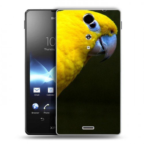 Дизайнерский пластиковый чехол для Sony Xperia TX Попугаи